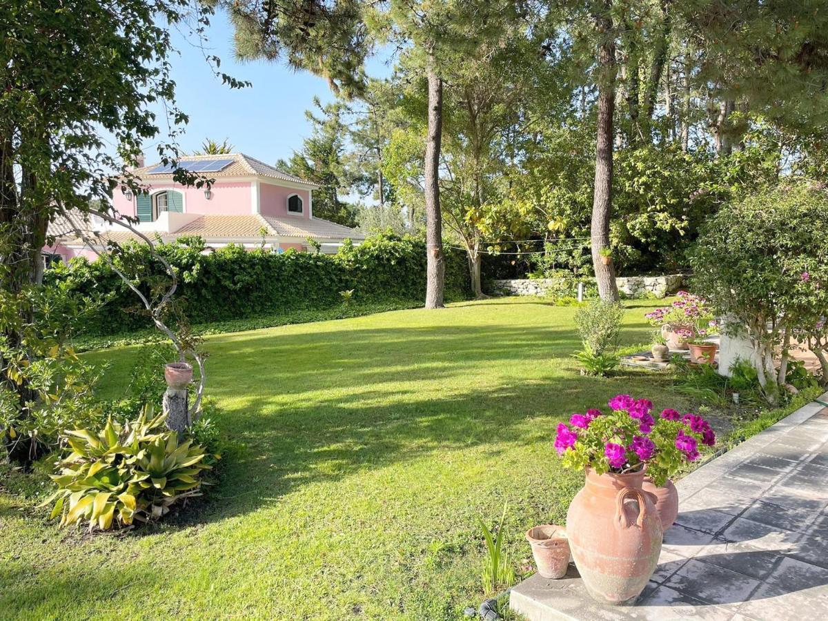 363 Beach Villa Tróia Eksteriør billede